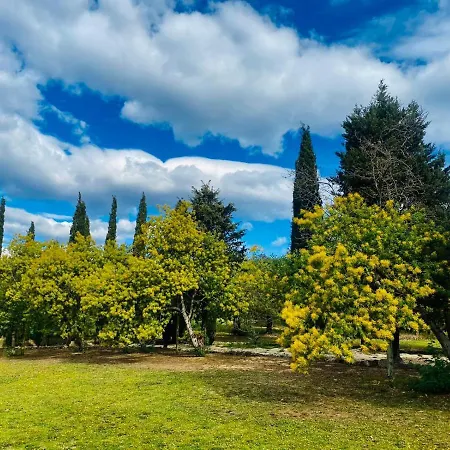 Masia Mimosa Completa Darnius