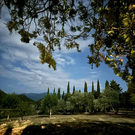 Masia Mimosa Completa Darnius
